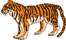 Tigre 791594